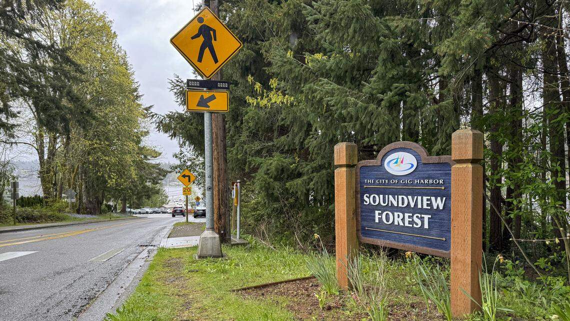 18 trees to be cut down in Gig Harbor park that has 100-year-old Douglas firs