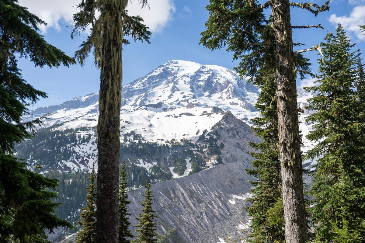 Mount Rainier is visible through the trees from the Nisqually Vista Trail on Friday, June 6, 2025, at Mount Rainier National Park.