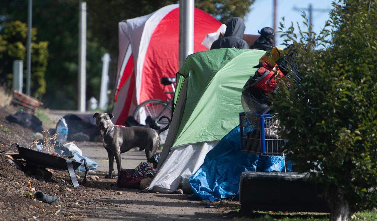 A homeless encampment partially blocks the sidewalk along 96th Street east of Hosmer Street in Tacoma, Washington, on Thursday, Sept. 24, 2024.