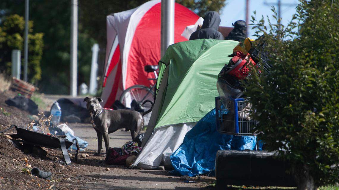 A homeless encampment partially blocks the sidewalk along 96th Street East of Hosmer Street in Tacoma  2024 file photo.