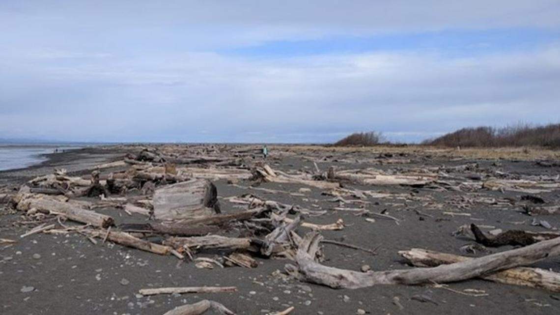 A human foot was found in a woman’s New Balance shoe near the Elwha River in Port Angeles, Washington, in 2021, authorities said. Now the sheriff’s department is trying to raise money to get the foot DNA tested.