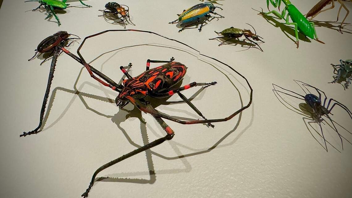 Insects In Glass Hundreds of glass bugs come to Tacoma’s Museum of Glass | Tacoma News ...