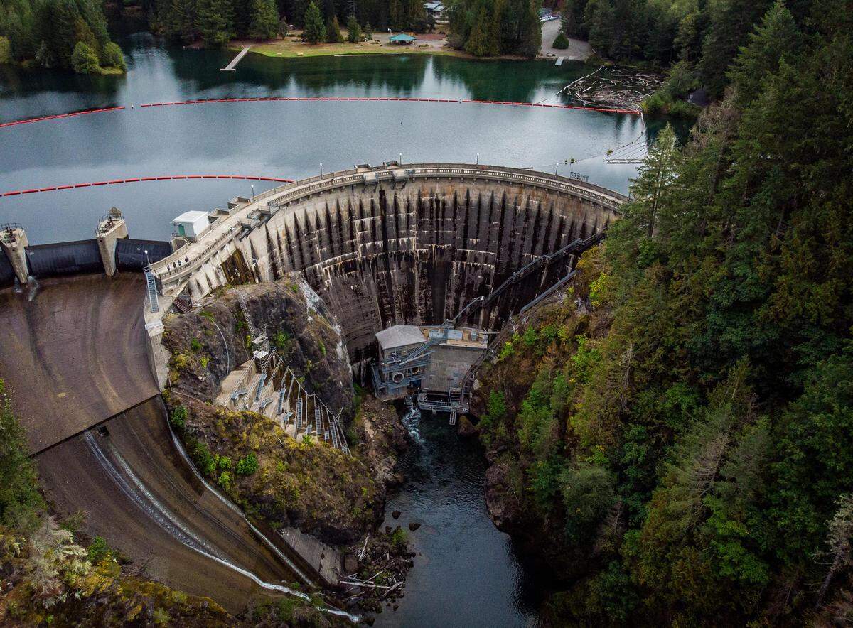 The North Fork Skokomish River flows out of Cushman Dam No. 2 and Lake Kokanee near Hoodsport, Wash., on Wednesday, Sept. 12, 2018. Tacoma Power is working to restore salmon migration to the North Fork Skokomish River using two hatcheries and a series of fish-shuttling technologies to help the salmon around their hydroelectric projects.