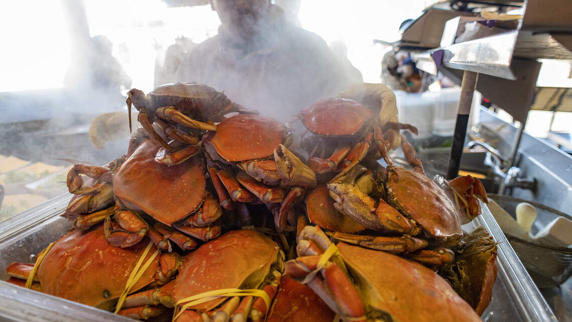 Feeling crabby in a time of closures