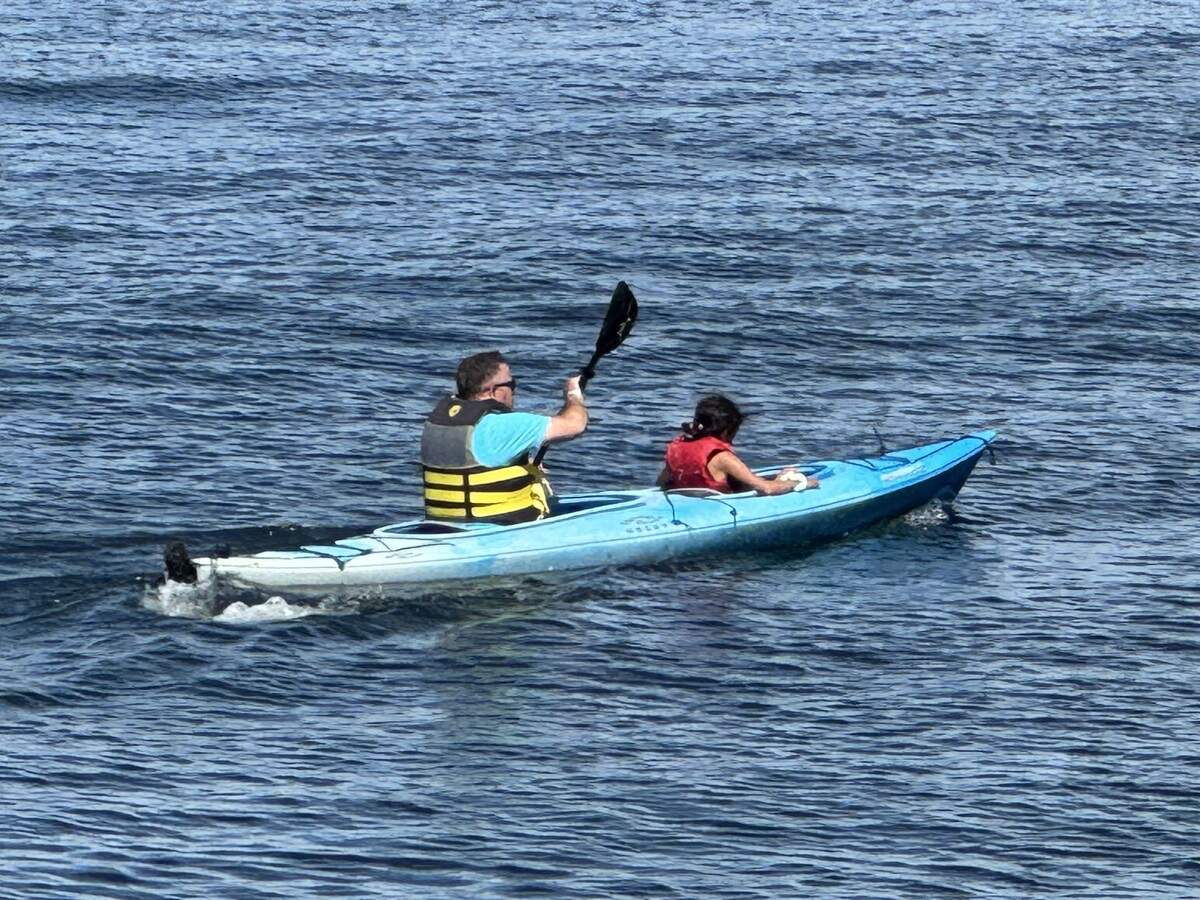 A tandem kayak team paddles past Point Defiance Marina in T-shirts on a warm July day.