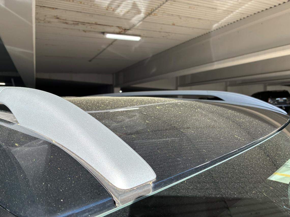 Pollen collects on a car in Tacoma.