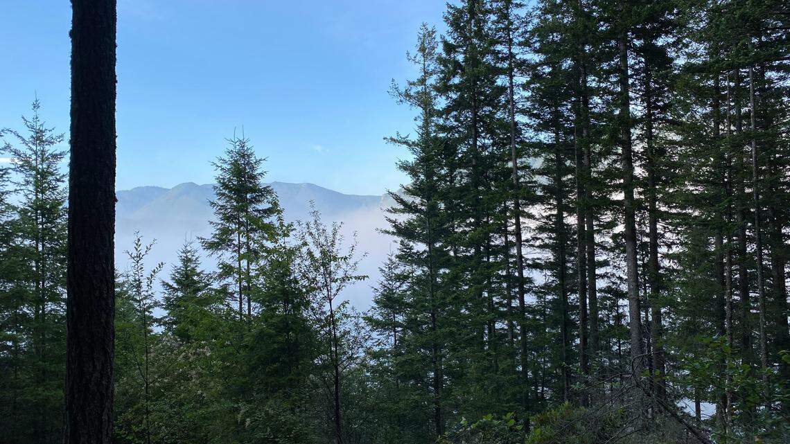 Three endangered animals were found dead Dec. 29 in southern Oregon, officials said.