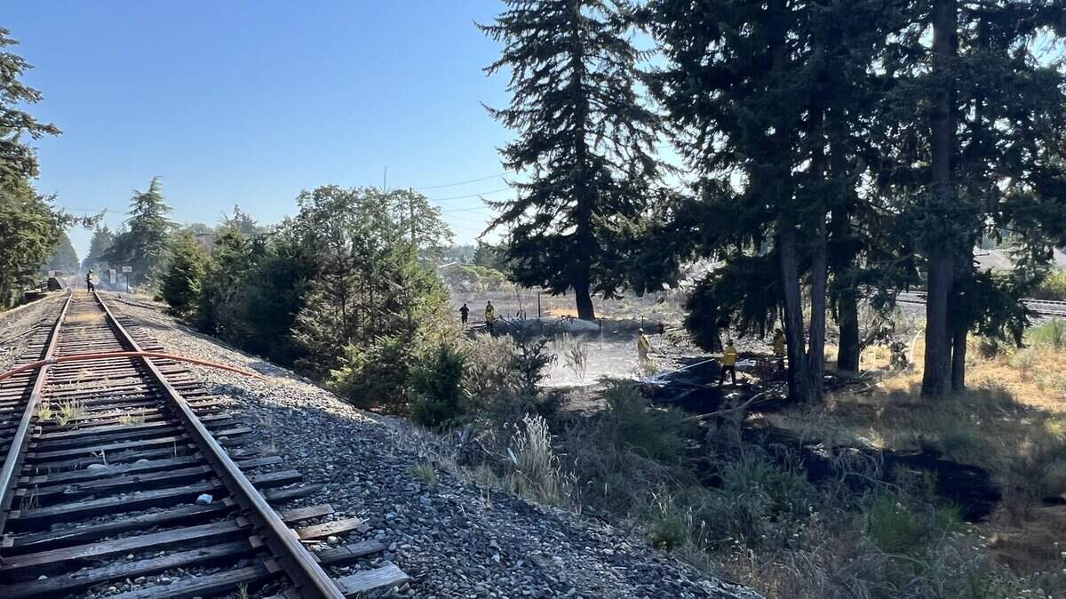 West Pierce firefighters douse a Lakewood brush fire surrounding Pacific Highway. The fire shut down traffic along portions of the road.