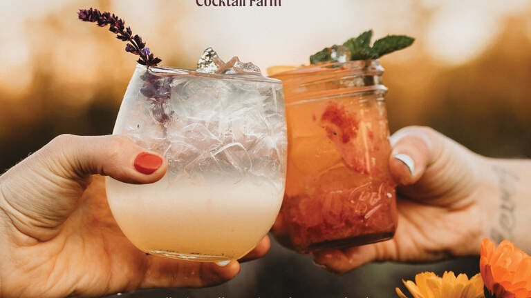 ‘Happier hour,’ anyone? WA sisters write cocktail book that’s also a gardener’s dream