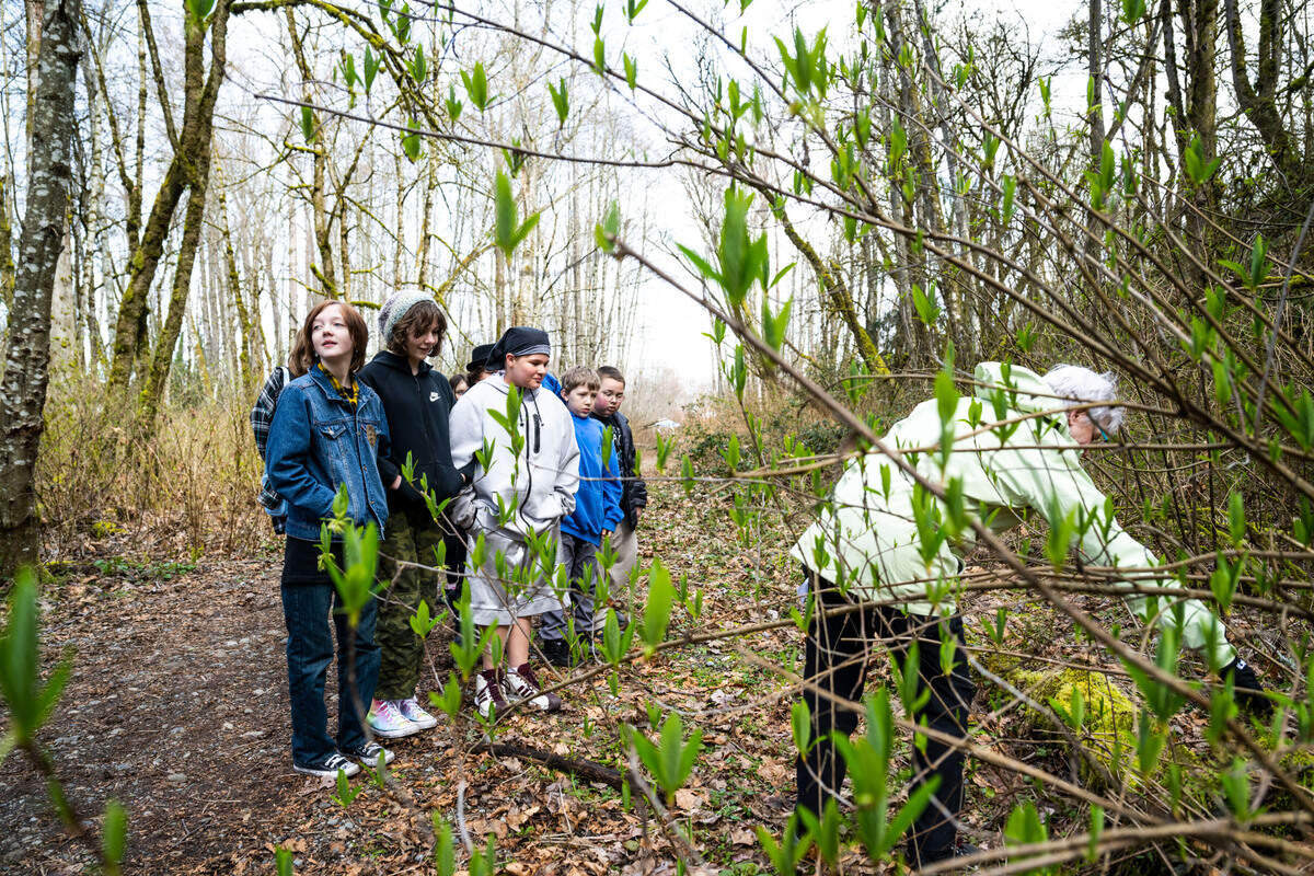 Grant Elementary School fifth graders walk through the woods at Swan Creek Park looking for certain species of plants during a school field trip that is part of the Foss Waterway Seaport Salmon in the Classroom program, in Tacoma on March 15, 2023.