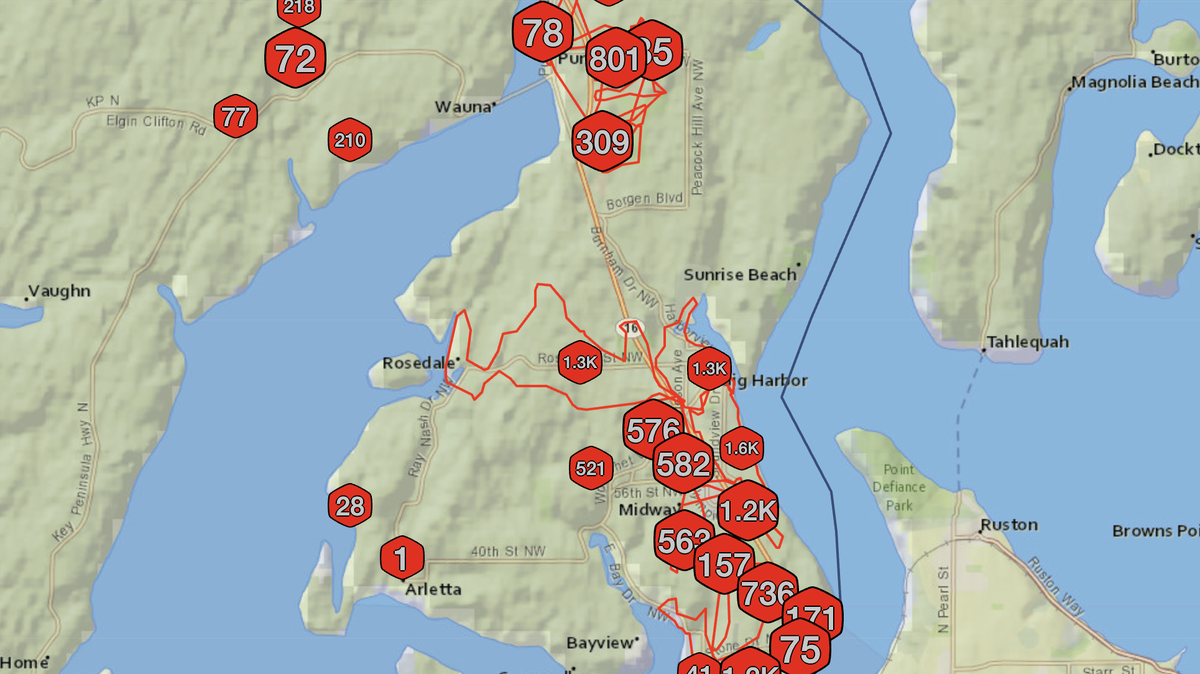 Over 12,000 Peninsula Light customers are without power after a widespread outage hit the Gig Harbor area Saturday morning.