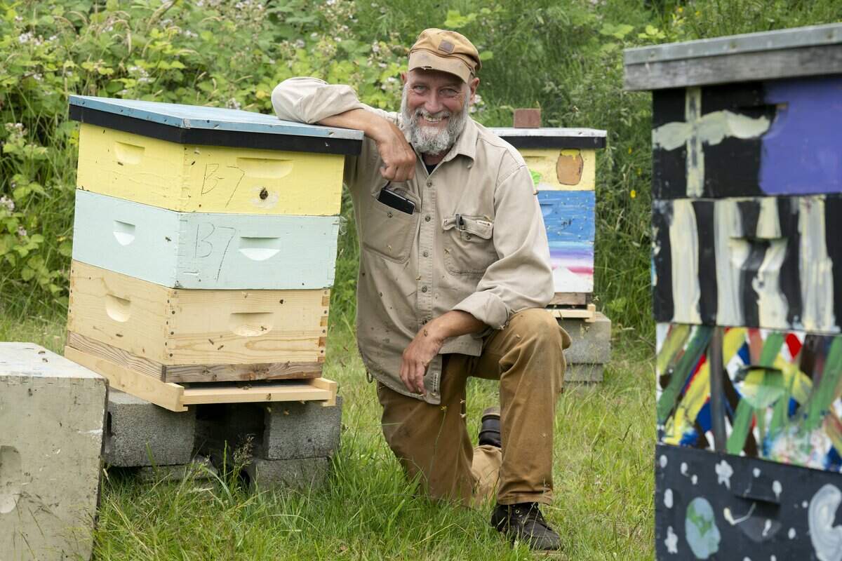 Bees fly around Rick Samyn as he kneels next to a beehive for a portrait on Thursday, June 25, 2026, at an apiary with L'Arche Tahoma Hope Farms in Tacoma, Wash. Samyn is the pastoral assistant for social justice at St. Leo Church, and has been beekeeping for about 25 years.