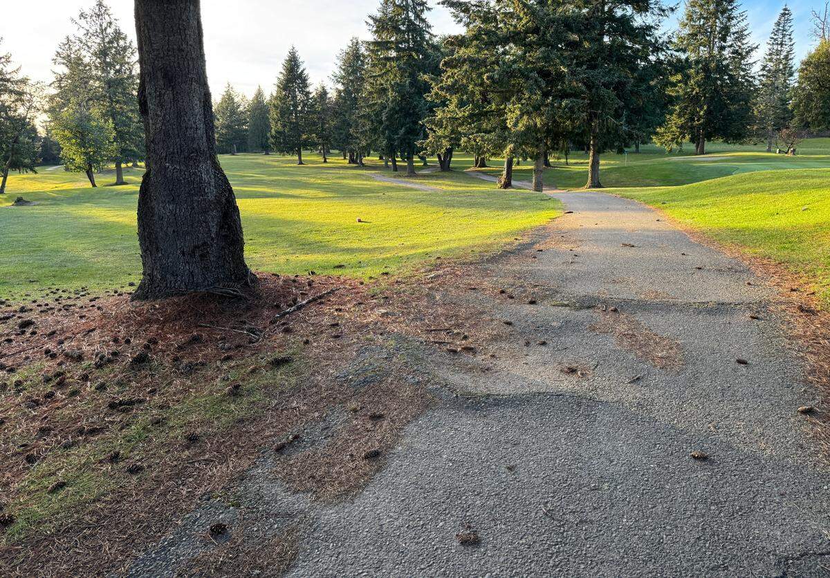 Some of the cart paths pictured at Madrona Links Golf Course on Wednesday, Feb. 12, 2025 are bumpy, making for an uncomfortable ride. A National Golf Foundation report commissioned by PenMet Parks in 2024 concluded that the damaged cart paths are encouraging golfers to drive onto the turf in some areas, causing further damage.