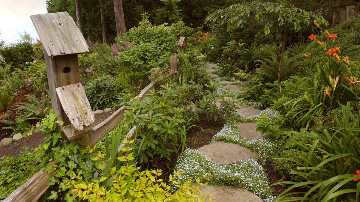 Birds don’t depend on feeders to survive. Their main sources of food are from healthier plants and insects.