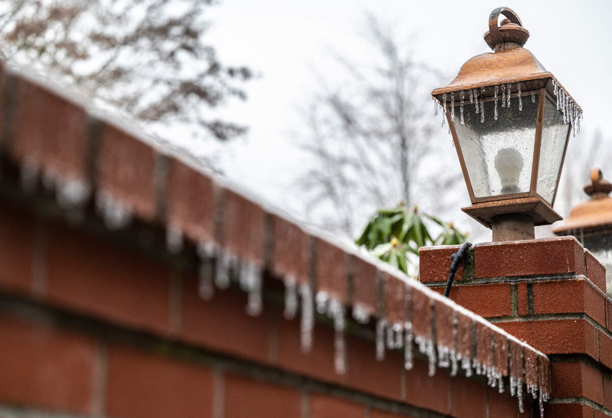 Icicles hang from a light on the end of a fence after freezing rain left Western Washington under a coating of ice Friday morning in Tacoma, Wash. on Dec. 23, 2022.