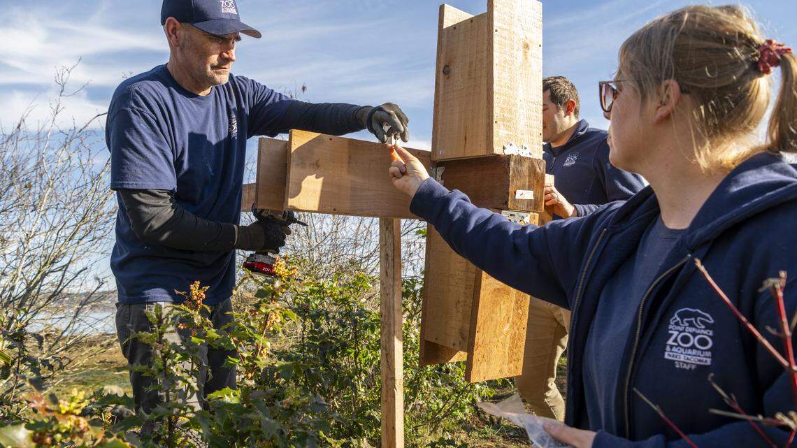 Beautiful new waterfront homes built along Tacoma shoreline — for beloved birds