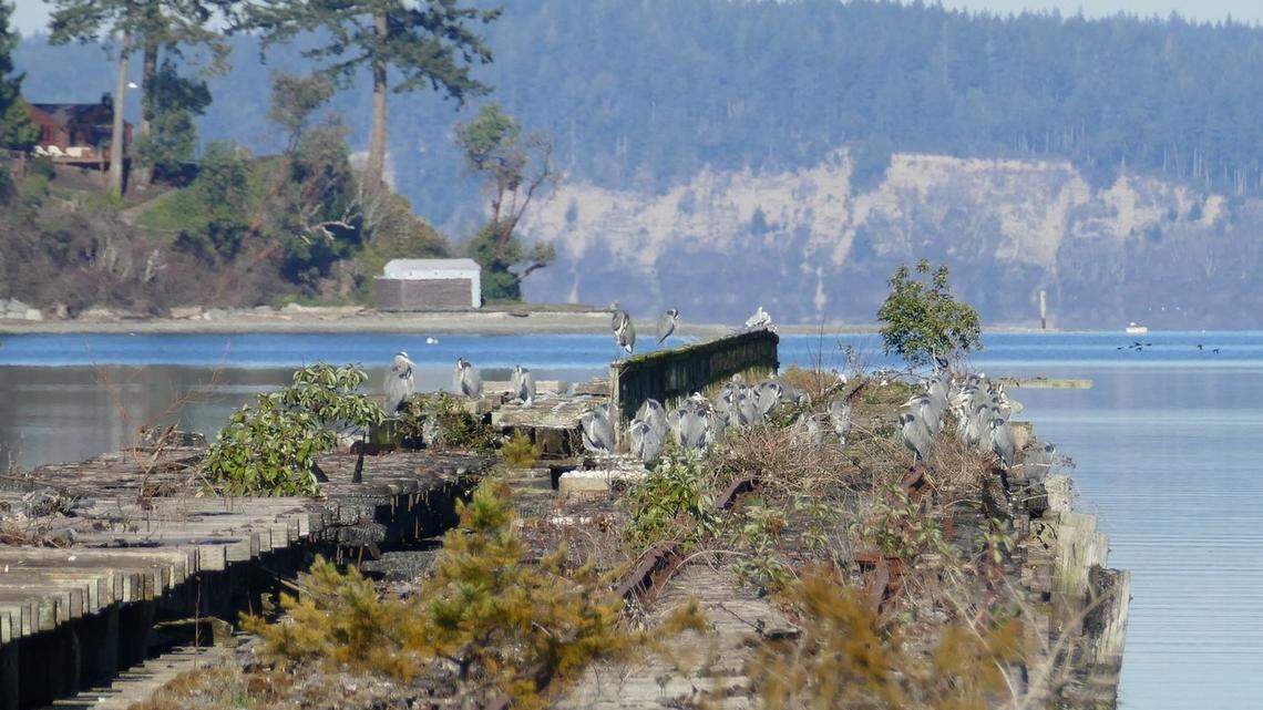 Looking to get outside? Here are the best winter hikes within an hour of Tacoma