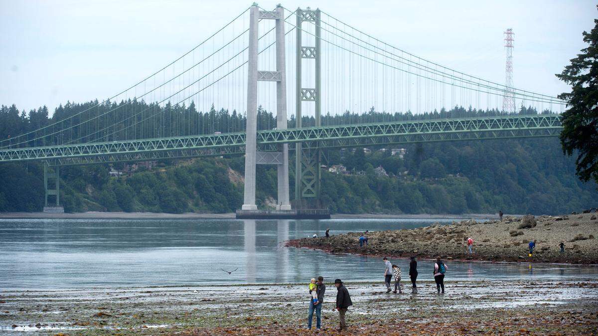 Families explore the rarely exposed tideflats during the negative low tide at Titlow Beach in Tacoma, Washington on Wednesday, June 15, 2022.