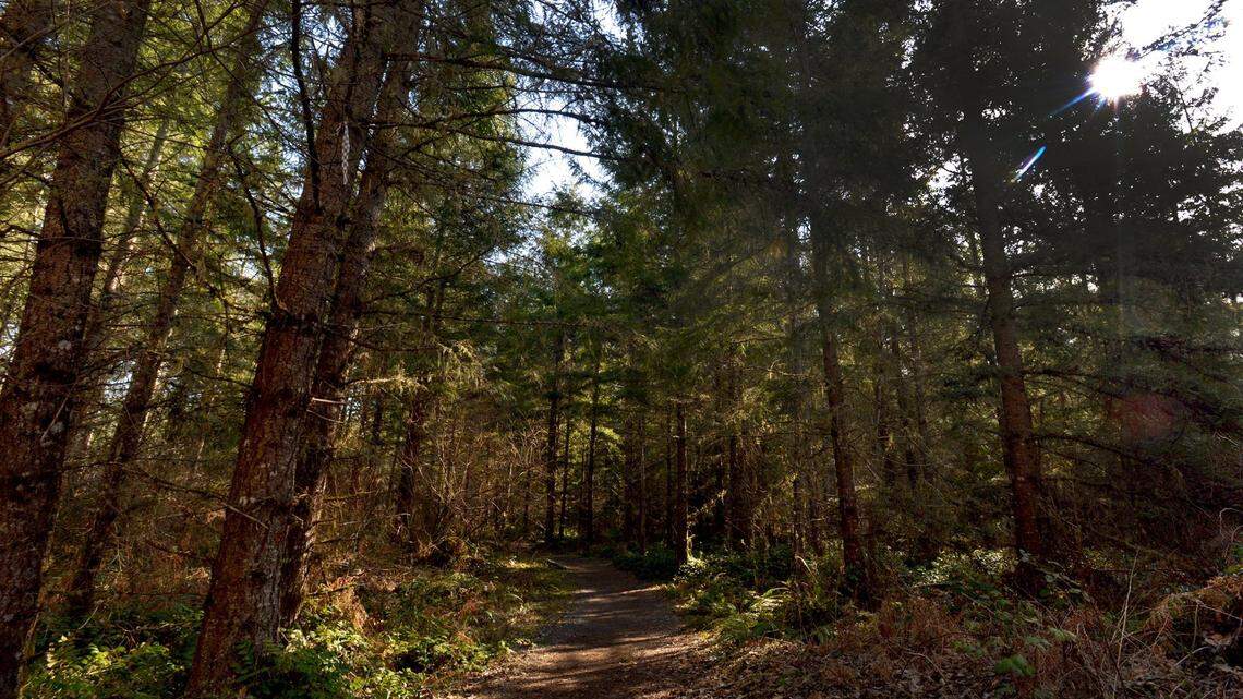 Want to live rent-free in an RV at a WA state park? Here’s how you can as a host volunteer