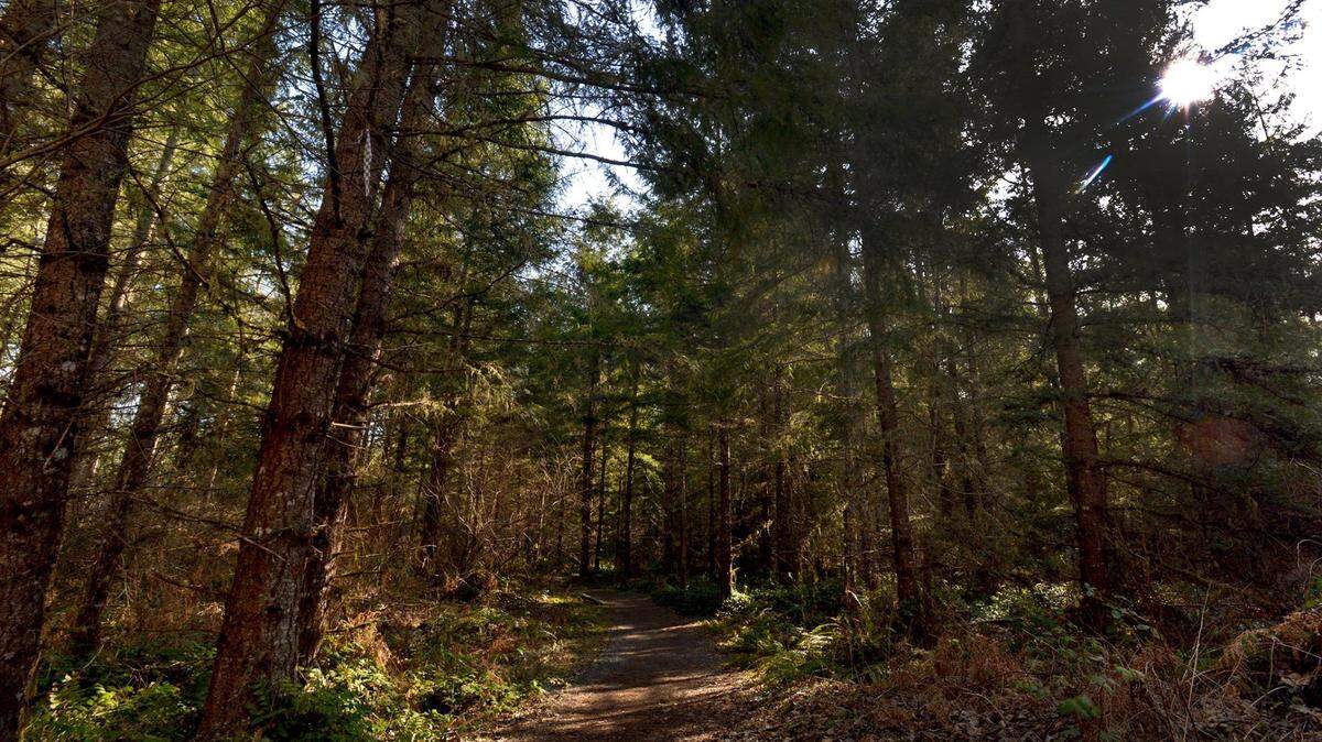 Washington State Parks and Recreation Commission has dozens of park host volunteer openings over the next several months. You just need an RV.