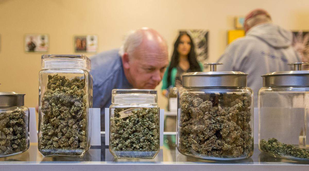 A customer examines buds of medical marijuana in air-tight candy jars at Triple C Cannabis Club in Tacoma in 2016. 
