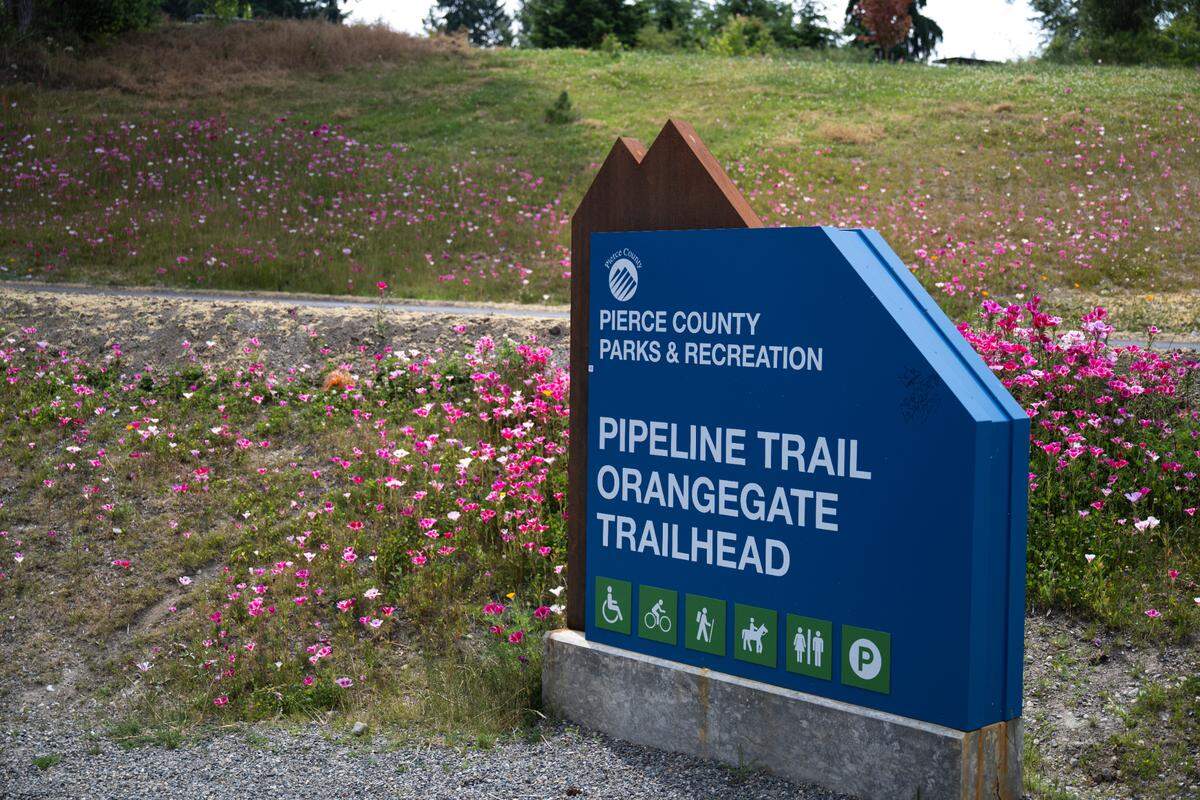 The Pipeline Trail extension is 5.8 miles from the Tacoma Dome into rural Pierce County ending at Orangegate Park on Wednesday, June 25, 2025, in Tacoma, Wash.