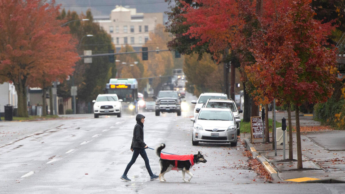 A woman and her dog are bundled up for the weather as they walk through in downtown Olympia, Washington, on Saturday, Nov. 7, 2020.