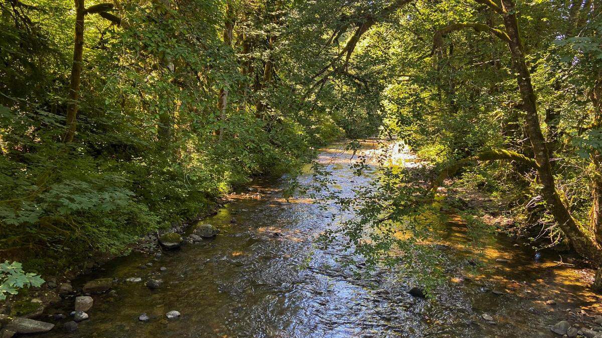 A conservation group has purchased land near South Prairie Creek in Pierce County.