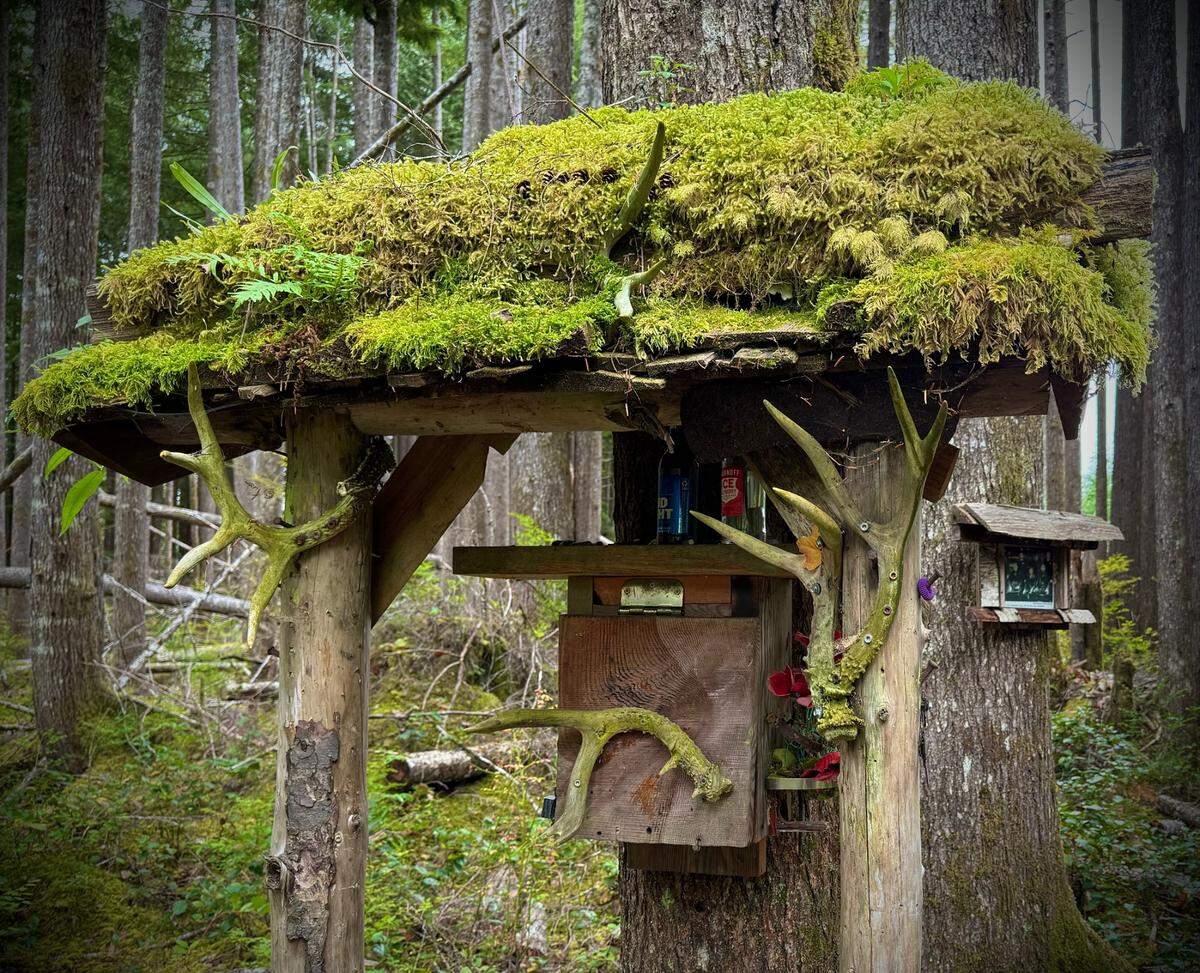Several shrine-like constructions dot the site in the Wynoochee Valley where outlaw John Tornow died after killing two men. This one contains mementos and a log book.