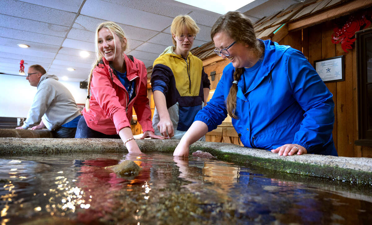 The Brodzinski famly of Yelm (from left) dad Brian, daughter Tayettin, son Broedynn and mom Kristin, explore the tide pool touch tanks during the Camp Corral military family weekend at YMCA Camp Seymour on the Key Peninsula on Saturday, May 14, 2022.
