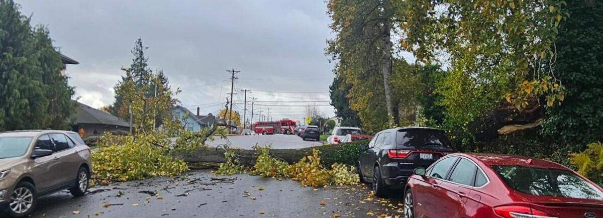 Tree debris and vehicle damage were seen in the area of East 32nd and M streets amid Monday morning’s storms in Tacoma.