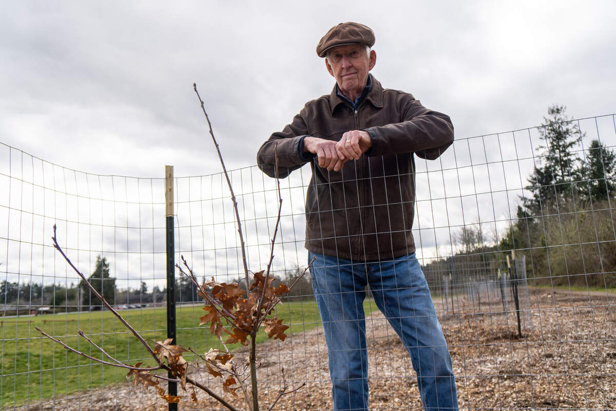 On April 2, 2021, project supervisor Mike Farley stands beside one of the oak trees at Lakewood’s Fort Steilacoom Park grown from an acorn shed by a tree planted along the original “Boulevard of Remembrance.” “The fact that the City of Lakewood has stepped up and found a really nice home for these trees means that the story (behind them) will continue to be told.”