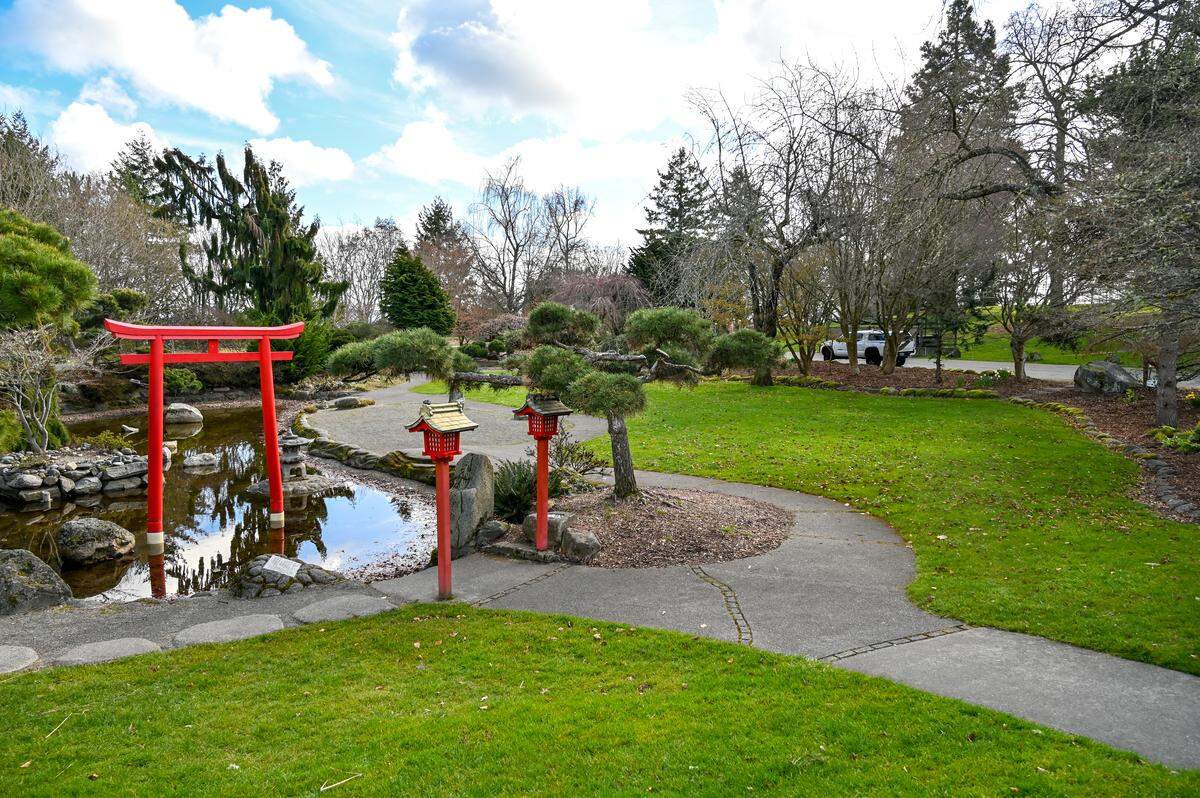 The Point Defiance Japanese Garden. They’re not blooming yet, but cherry blossom trees are there. 