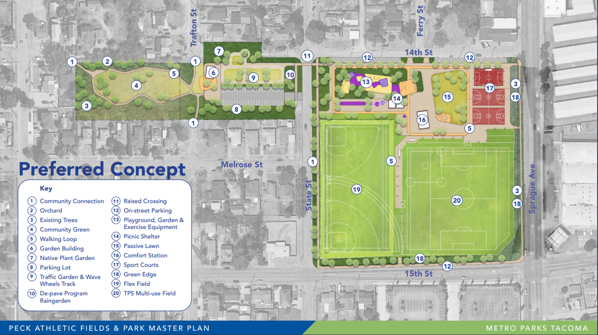 A concept plan for improvements to Peck Athletic Fields & Park includes additional green space, walking loop, gardens, parking and sport courts.