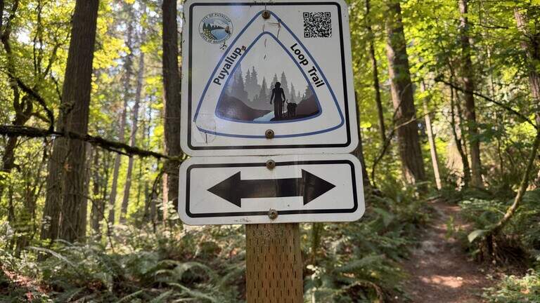 Hiking the Puyallup Loop Trail, Pierce County’s best-kept, dog-friendly secret