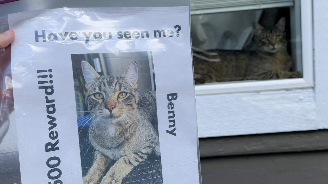 His face was on 500 posters across Puyallup. Now, ‘the Benny campaign’ is over