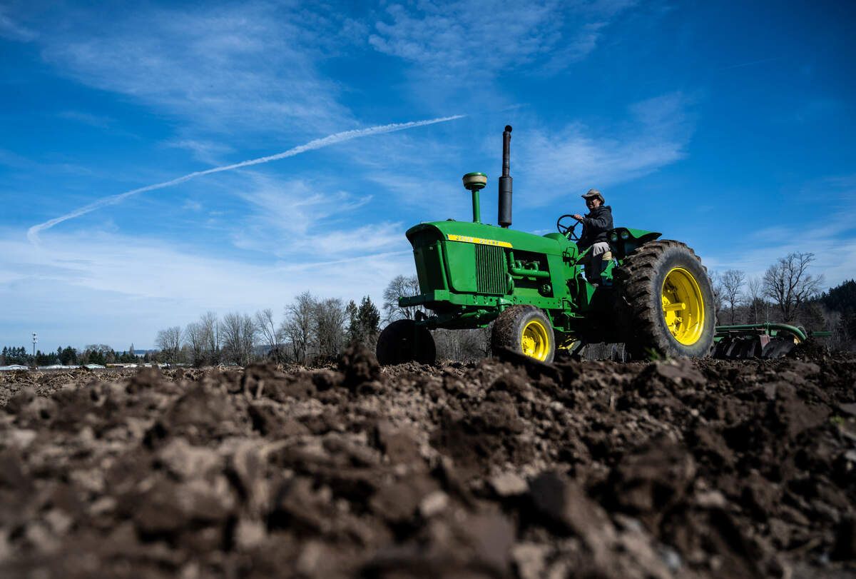 McMillin Farm employee Jesus Padilla tills a field in preparation for planting corn and other produce at the farm near Puyallup, Wash. on Saturday, March 12, 2022.