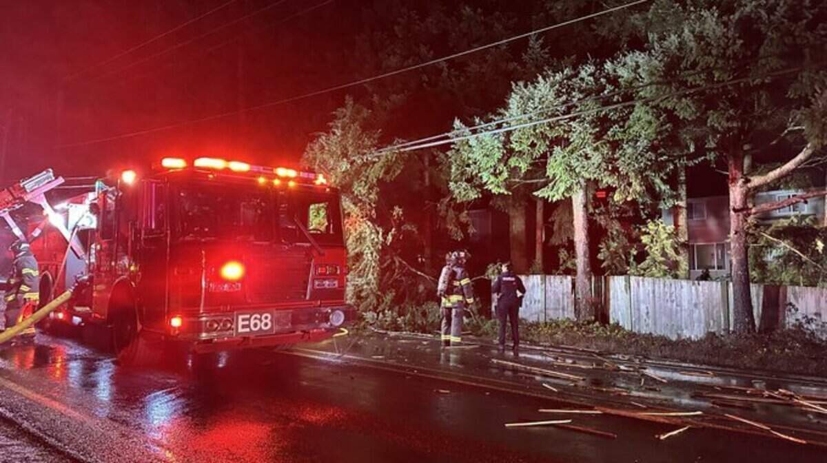 A man died in the South Hill area on Monday, Feb. 18, 2025, after a crash in a Tesla that authorities said had been speeding over 100 mph.
