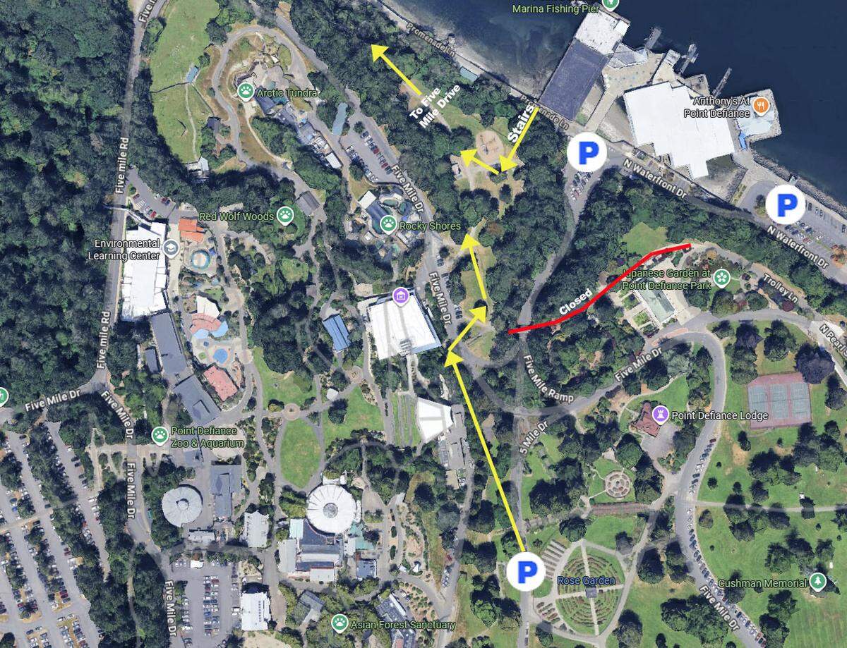 A satellite map shows pedestrian detour routes at Point Defiance Park in yellow, amid a road closure indicated in red as of March 2, 2026.