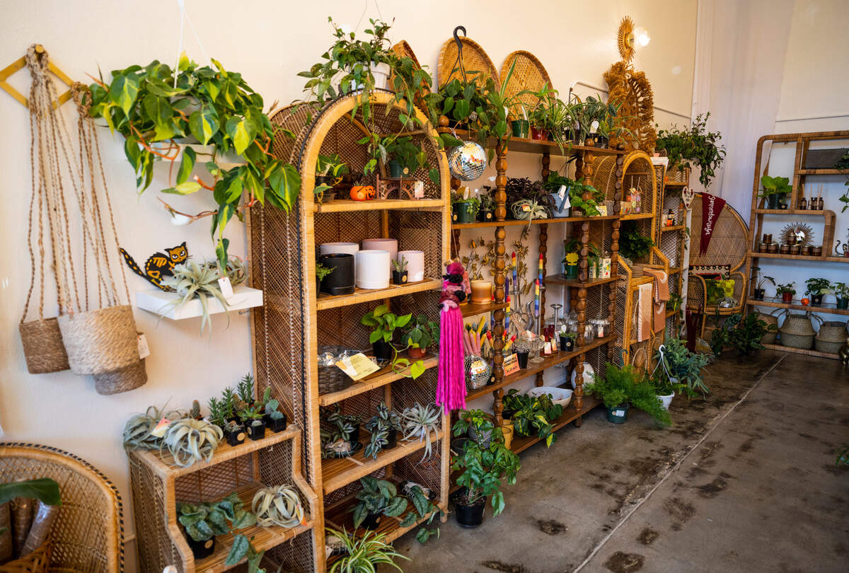 The interior of Sunne Plant Shop, a new local business owned by Desiray O’Brien, is covered from floor to ceiling in various plants and home decor from local artists in downtown Sumner, Wash. on Oct. 13, 2022.