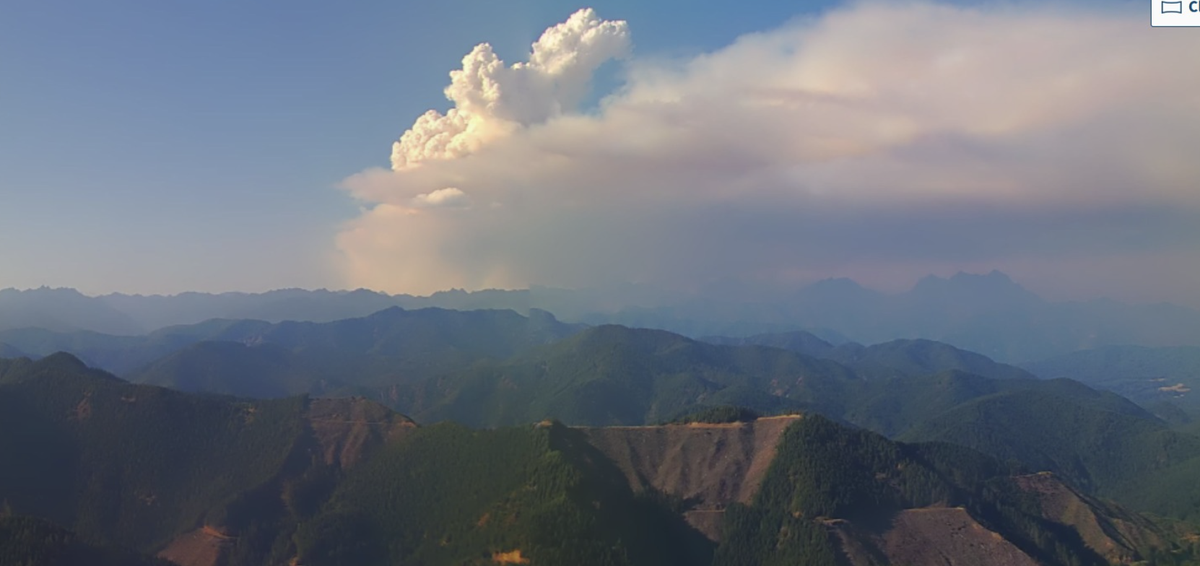 An image from a state DNR webcam shows a plume of smoke growing at the Bear Gulch fire in Olympic National Park in 2025.