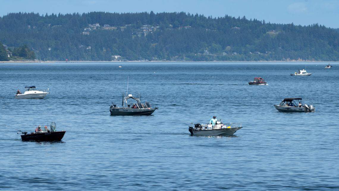Waters south of Tacoma Narrows Bridge now closed to salmon fishing. Here’s why