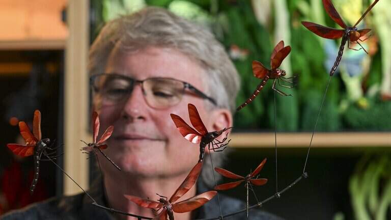 Pierce County artist’s bugs star in Hollywood films, shows like ‘Breaking Bad’