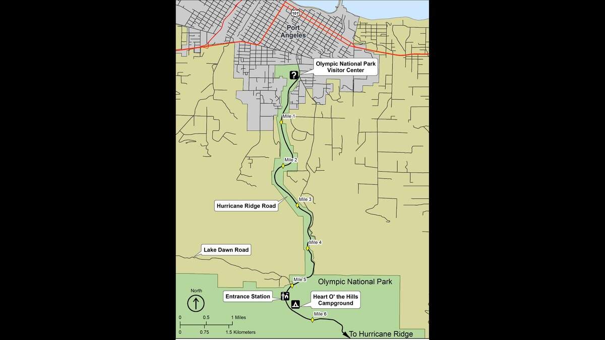 Superintendent Sula Jacobs says Olympic National Park will reopen the Hurricane Ridge area on Tuesday, June 27, offering access from 7 a.m. to 9 p.m. However, vehicle access will be limited to a maximum of 315 due to limited portable toilet capacity.