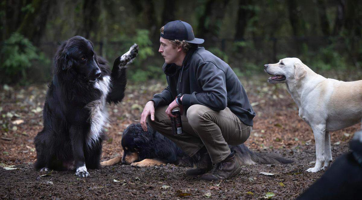Eddie the dog says hello to Casey Clifton as they play at Clarks Creek Park off-leash dog area in Puyallup, Washington, on Tuesday, Nov. 19, 2024. Users are concerned that thick layers of bark mulch have created a soggy, stinky quagmire.