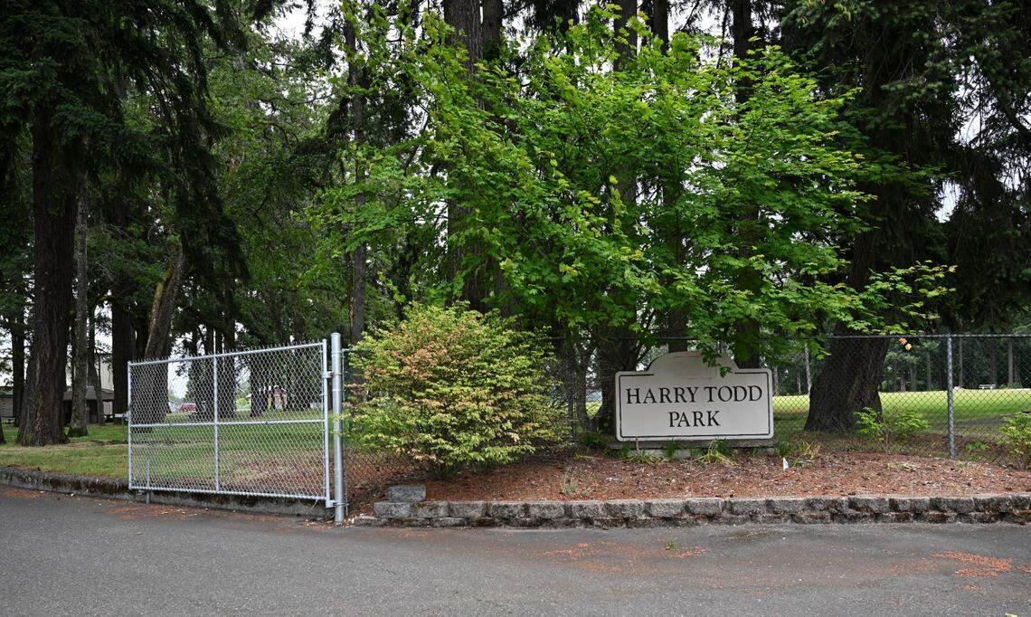 Harry Todd Park is the proposed site of new pickleball courts. Shown Monday, June 17, 2024.