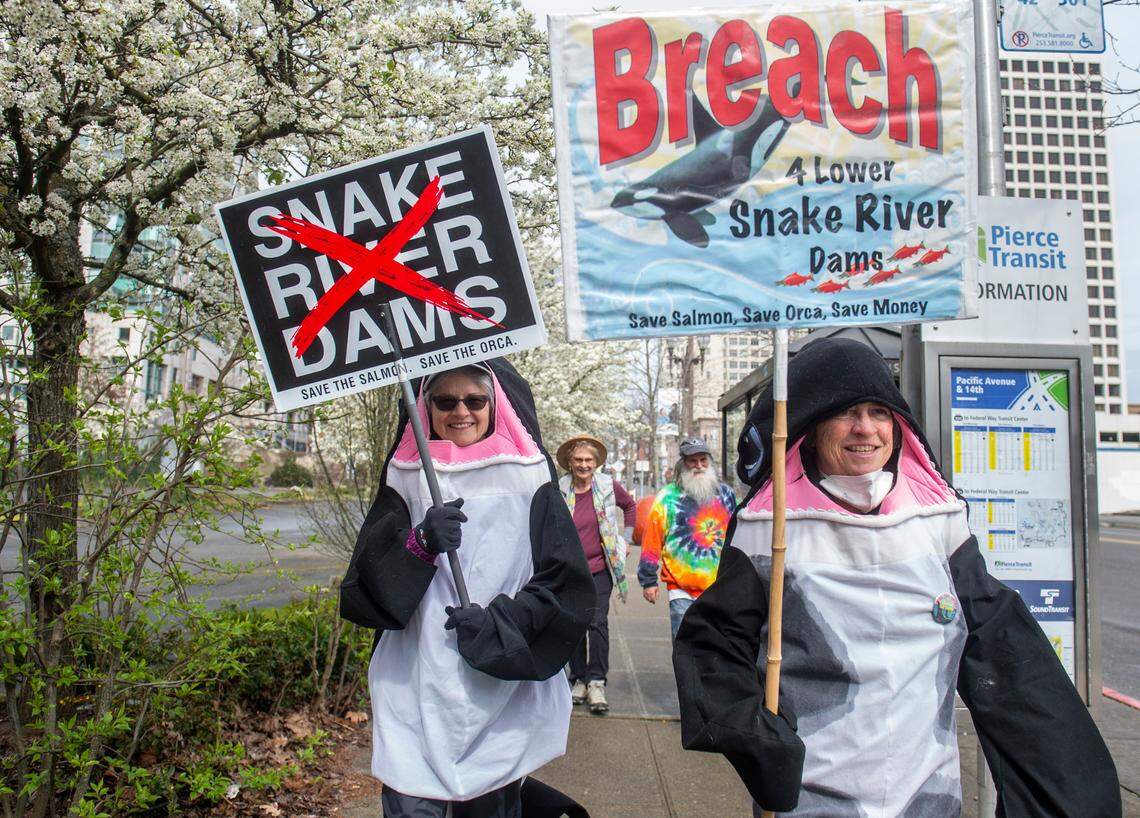 Demonstrators wear orca costumes as they march through downtown Tacoma March 26, 2002, to advocate for the removal of the Snake River dams and rally against the extinction of protected salmon that are a main source of food for orca.