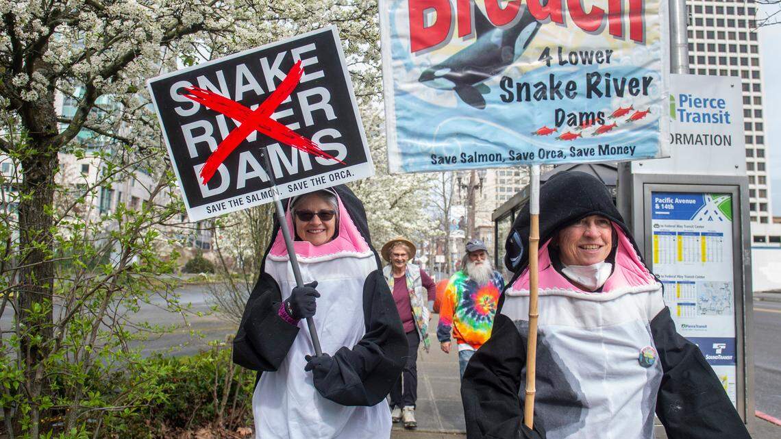 Lisa Dekker, left, and Debra Ellers, right, wear orca costumes as they march through downtown Tacoma to advocate for the removal of the Snake River dams and rally against the extinction of protected salmon in Tacoma in March 2022.