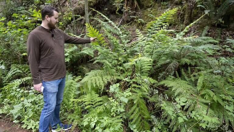 Should Pierce County gravel mine expand? Residents worry about environment