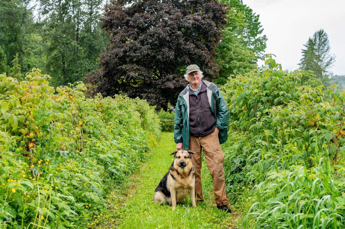 Chipping Twigs Farm owner Kevin Johnson grows a huge variety of berries, plants, nuts, chickens, honeybees, and more in Orting.